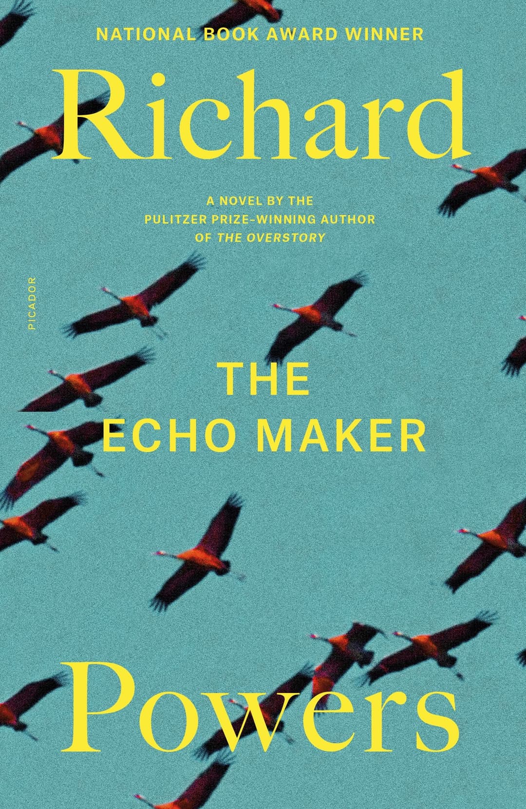 Couverture de The Echo Maker A Novel