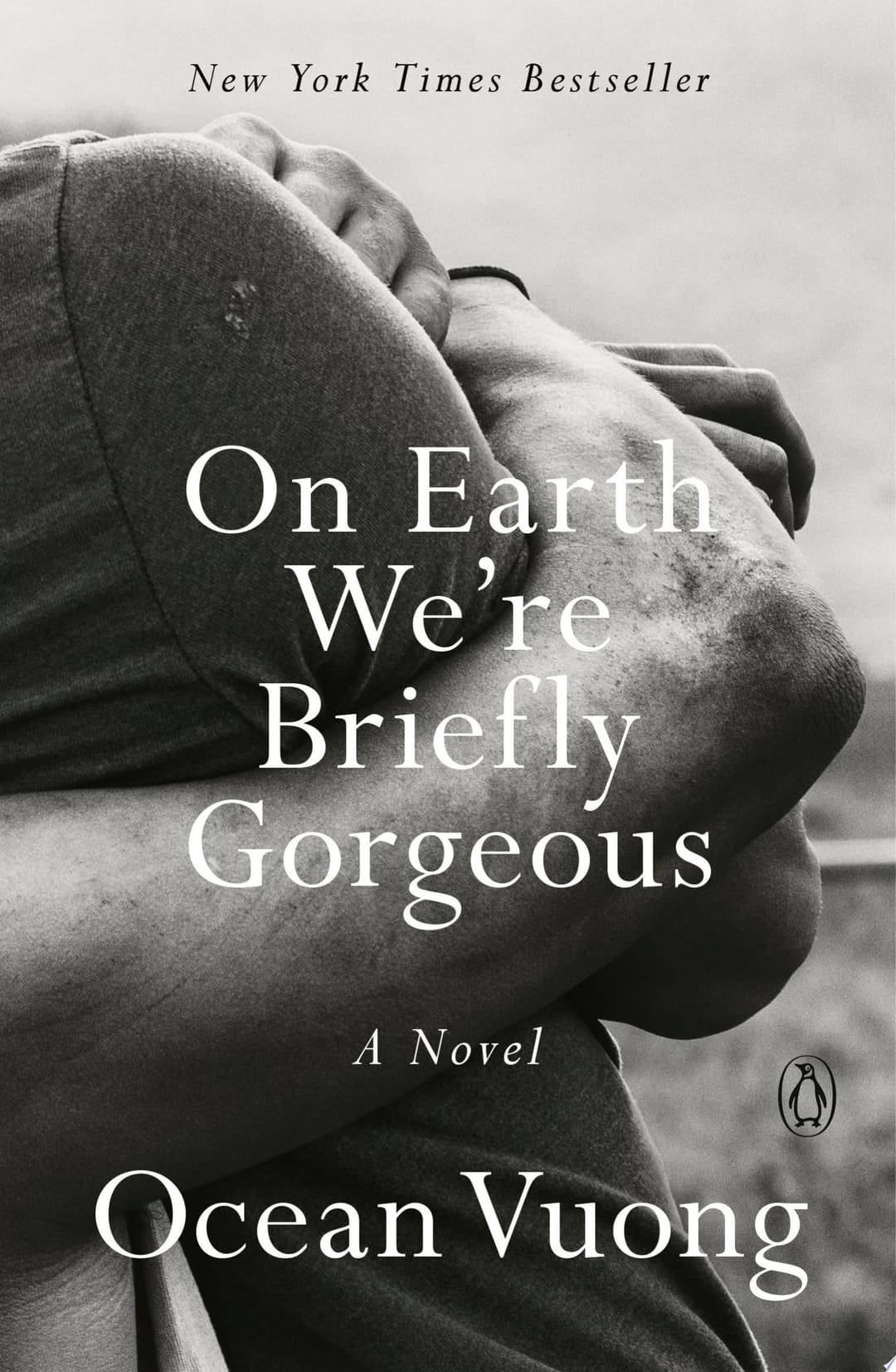 Couverture de On Earth We're Briefly Gorgeous A Novel