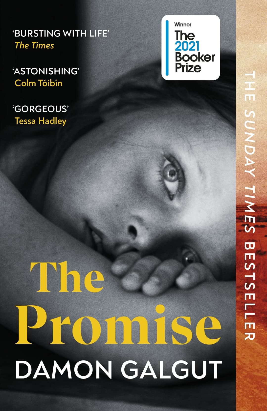 Couverture de The Promise