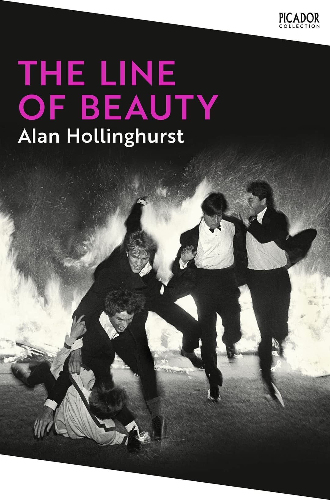 Couverture de The Line of Beauty