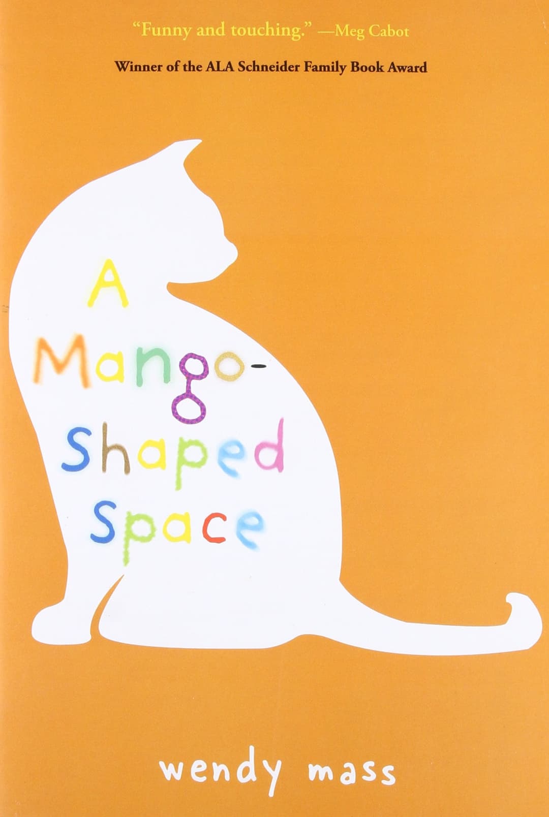 Couverture de A Mango-Shaped Space