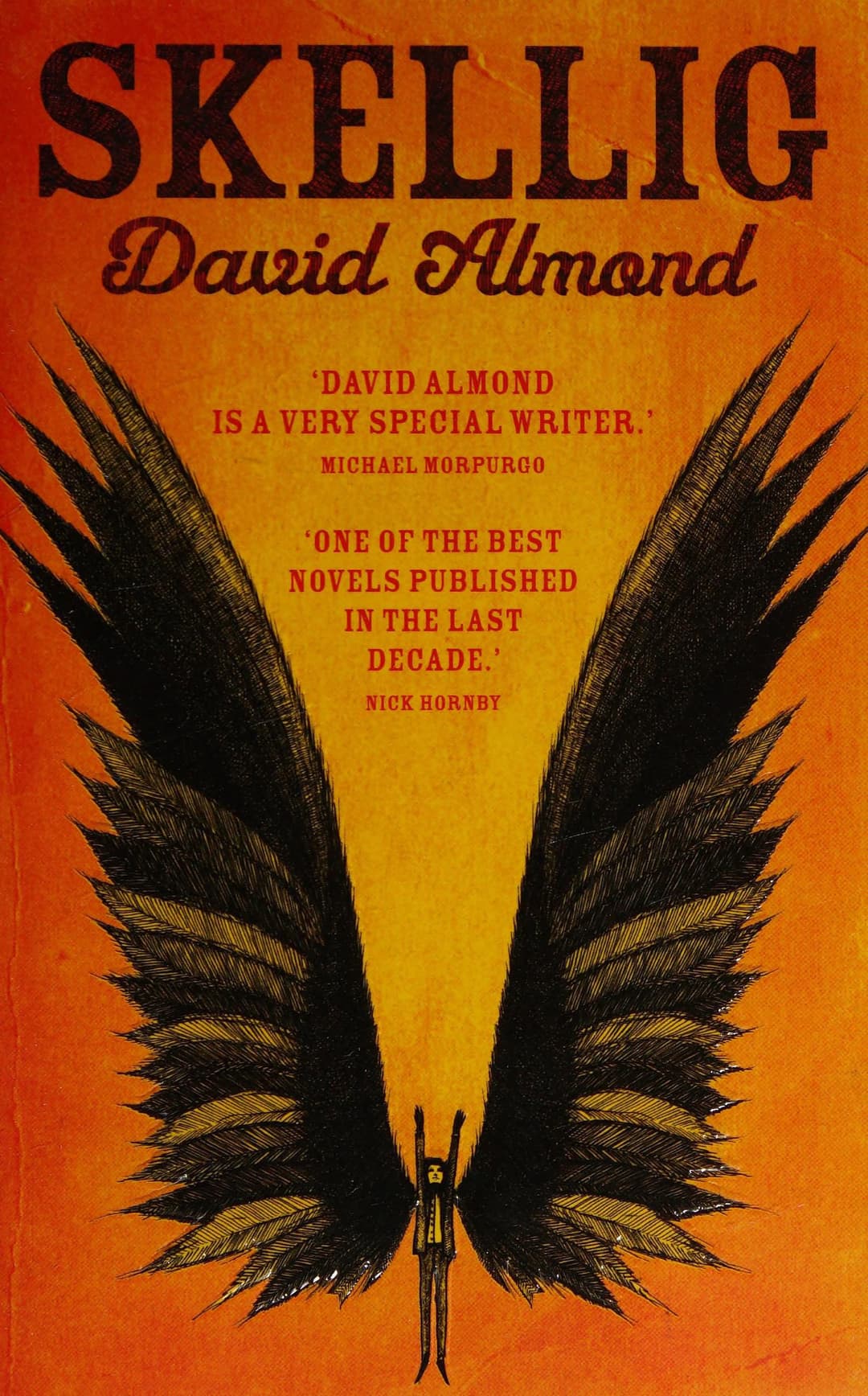 Couverture de Skellig