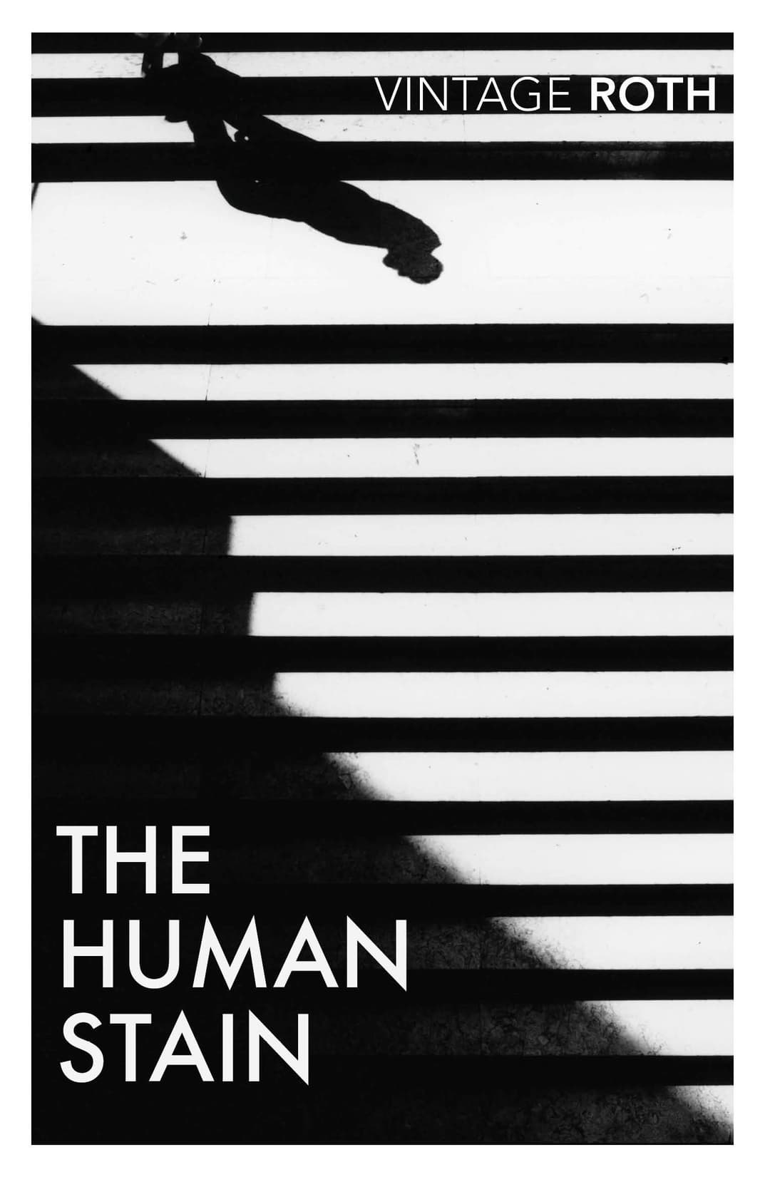 Couverture de The human stain