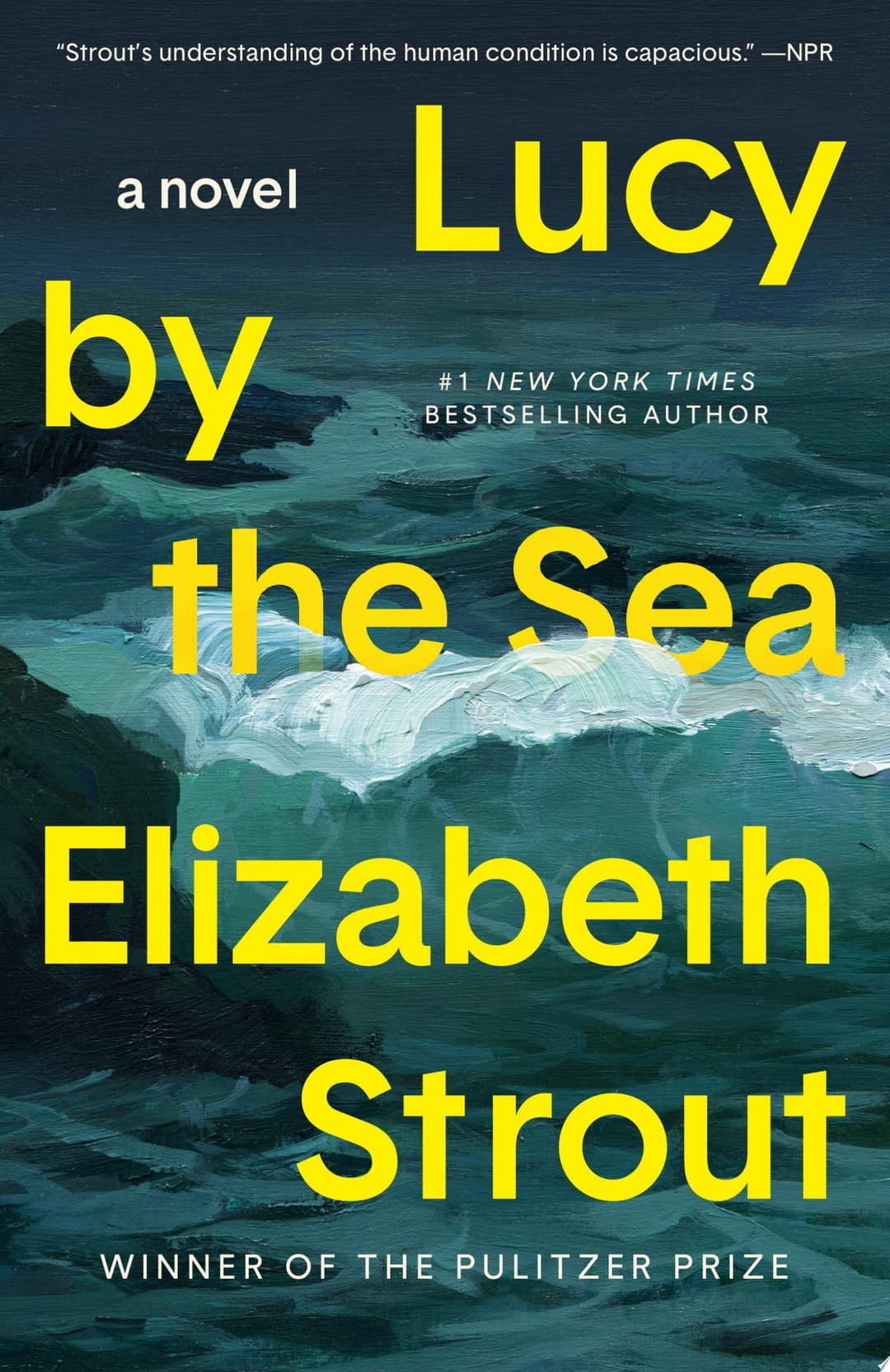 Couverture de Lucy by the sea: a novel