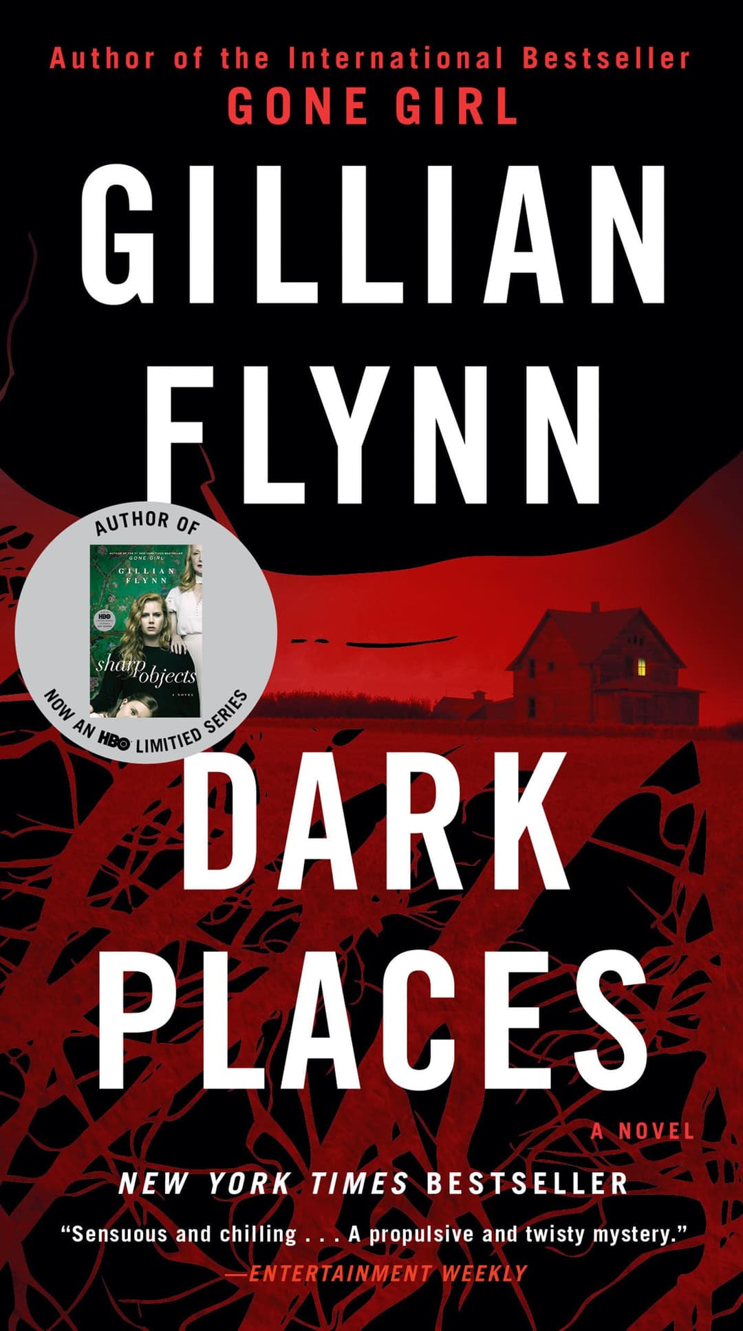 Couverture de Dark Places A Novel