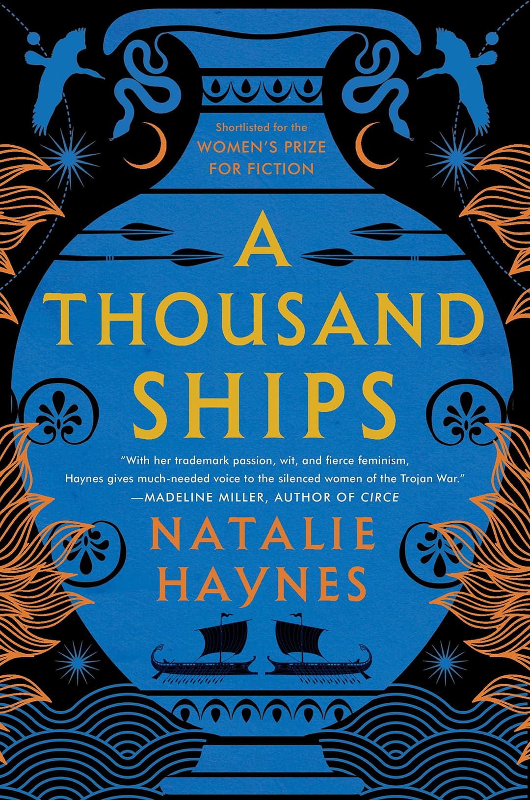 Couverture de A Thousand Ships A Novel