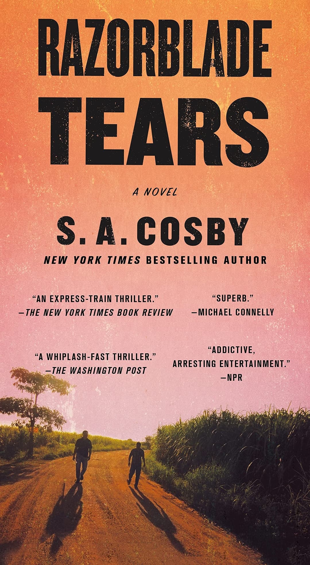 Couverture de Razorblade Tears A Novel