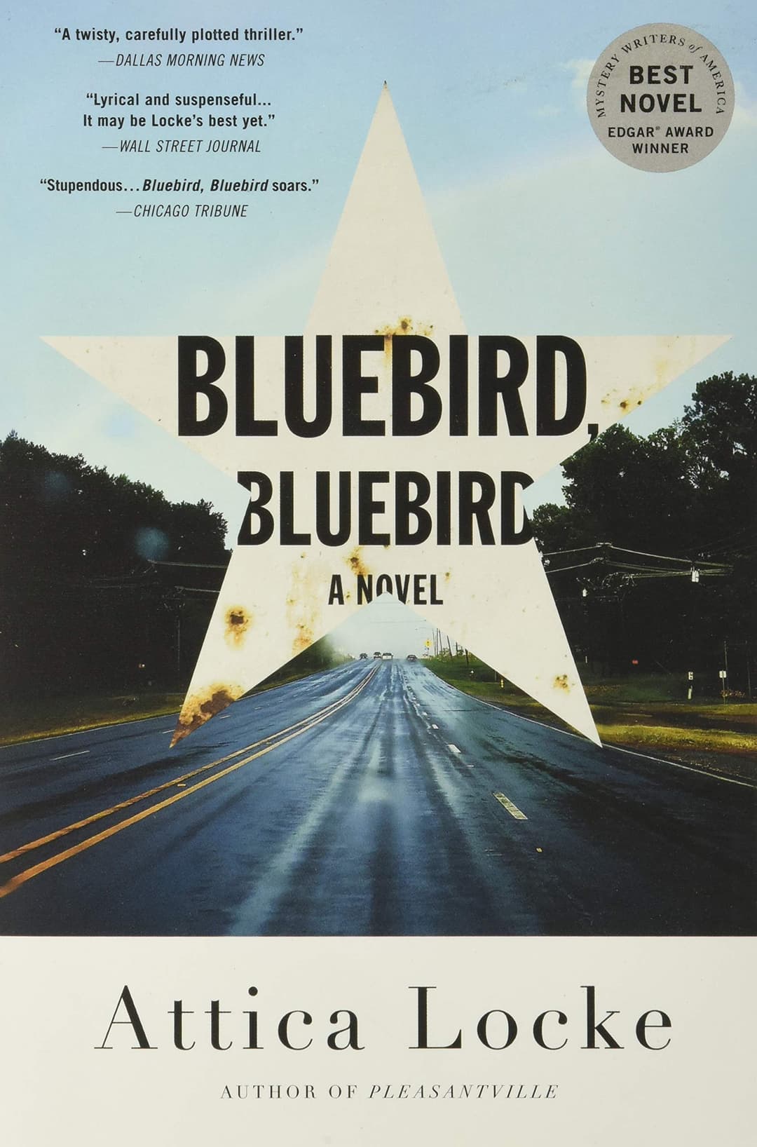 Couverture de Bluebird, Bluebird