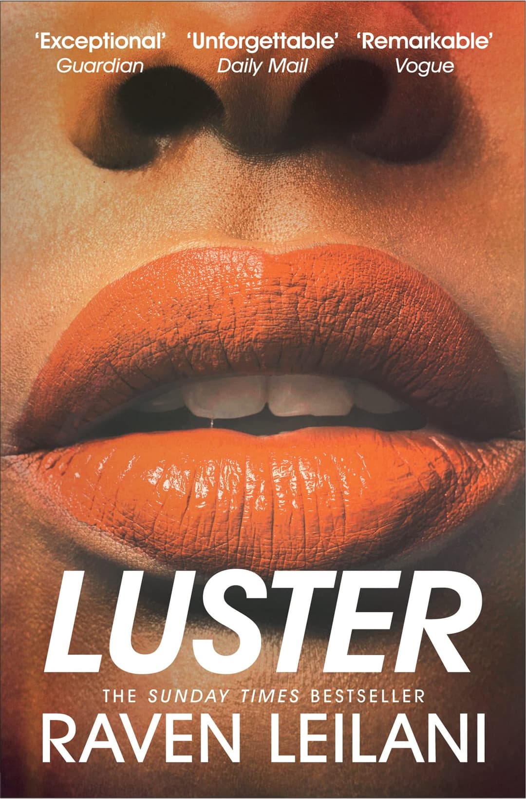 Couverture de Luster