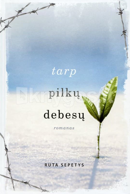 Couverture de Tarp pilkų debesų: romanas