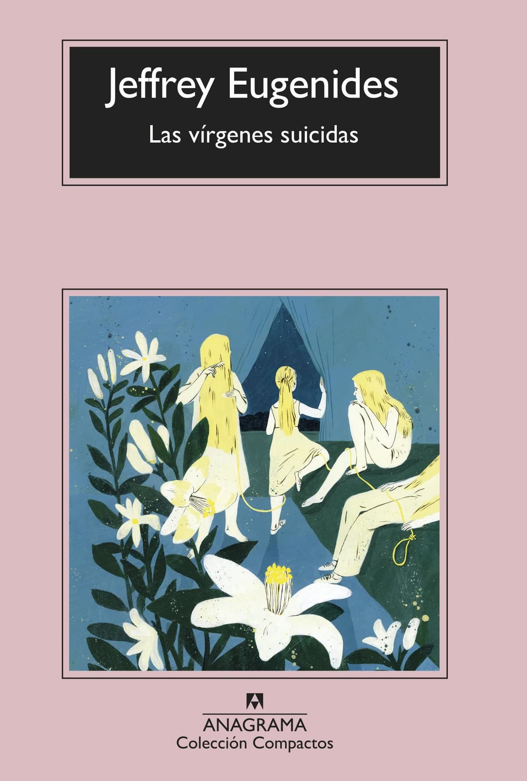 Couverture de Las vírgenes suicidas