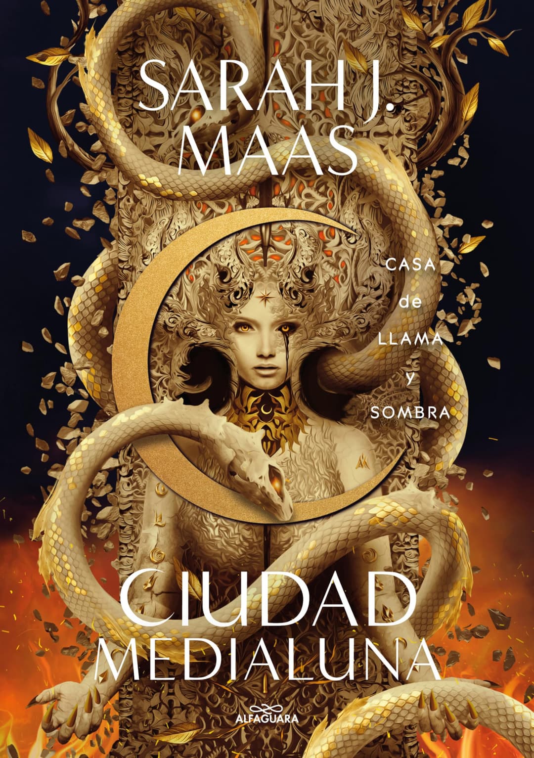 Couverture de Casa de llama y sombra