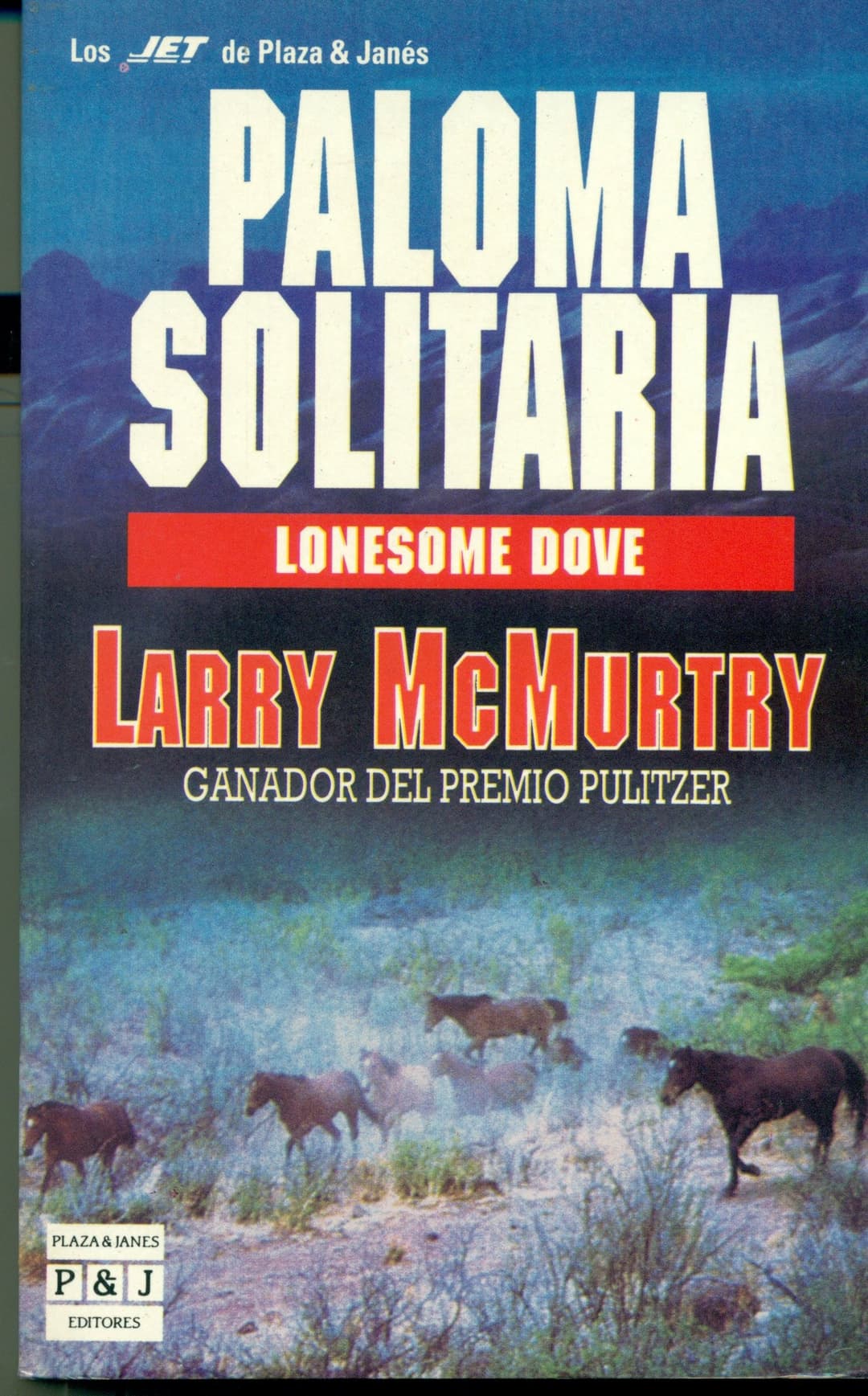 Couverture de Paloma solitaria