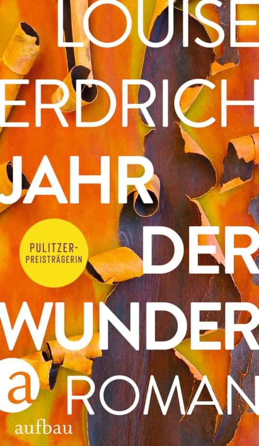 Couverture de Jahr der Wunder: Roman