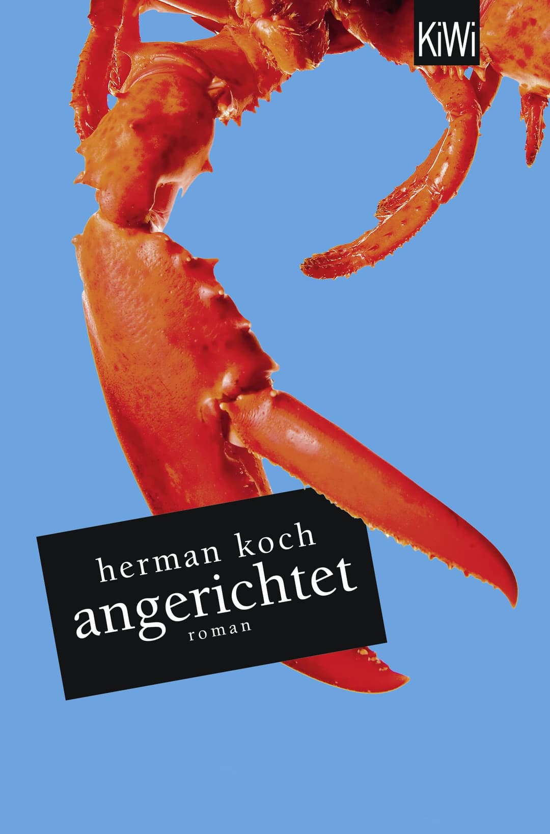 Couverture de Angerichtet Roman
