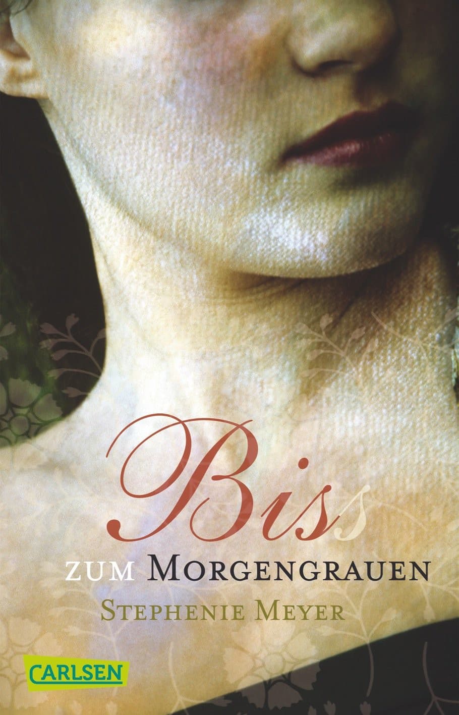 Couverture de Biss zum Morgengrauen