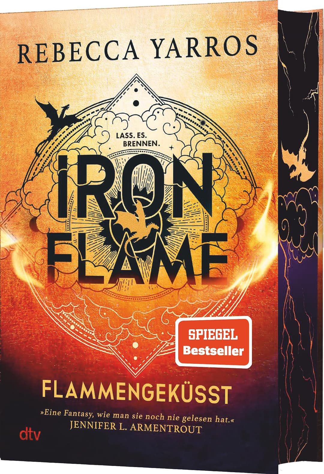 Couverture de Iron flame