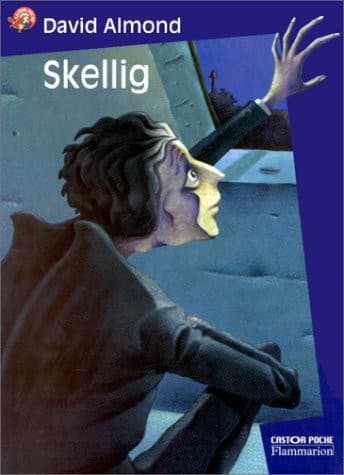 Couverture de Skellig