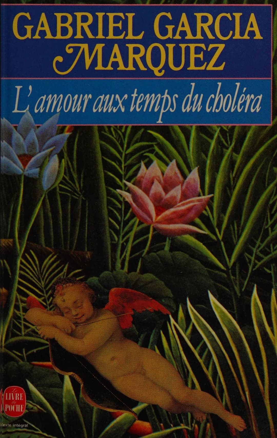 Couverture de L'amour aux temps du choléra: roman
