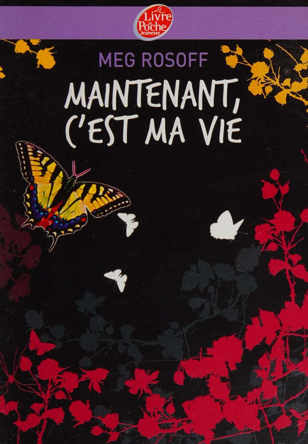 Couverture de Maintenant , c'est ma vie