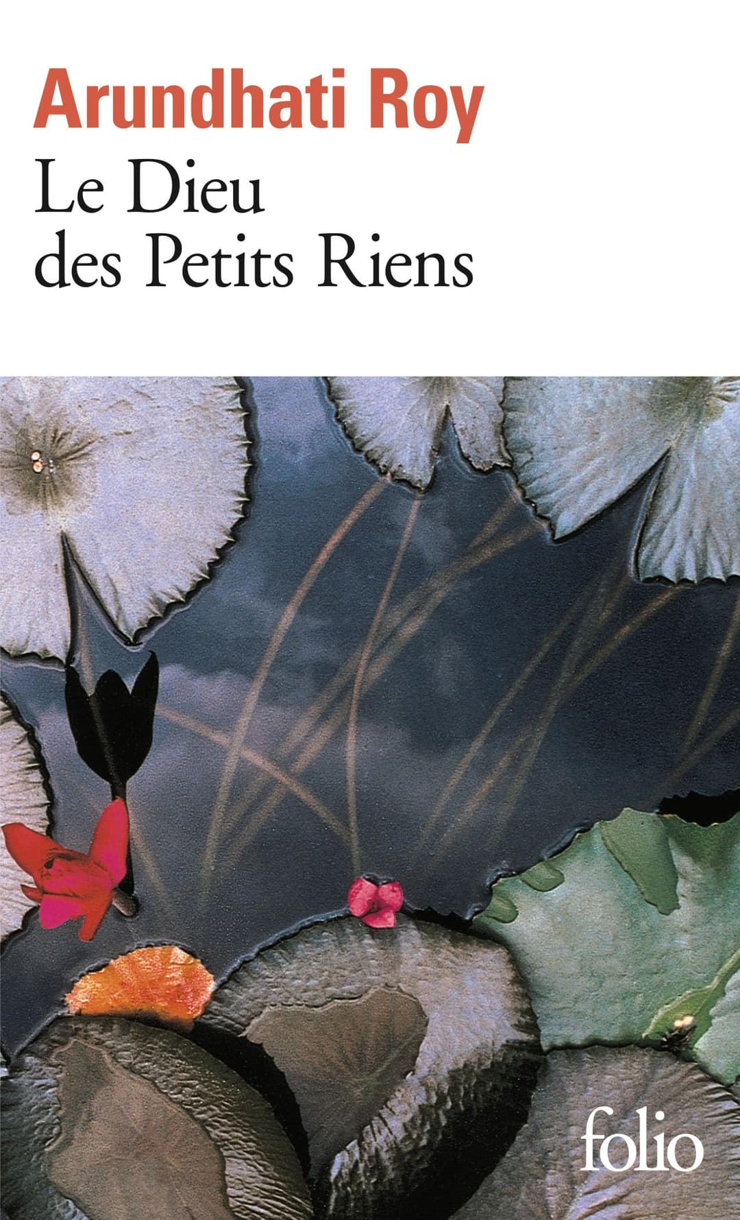 Couverture de Le dieu des petits riens