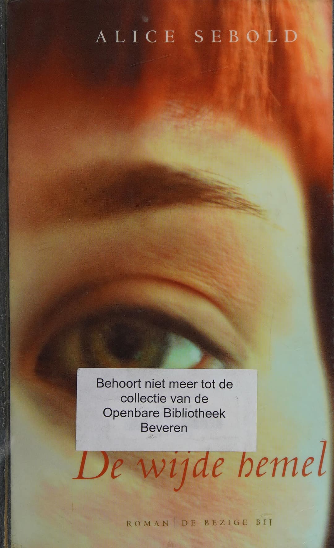 Couverture de De wijde hemel