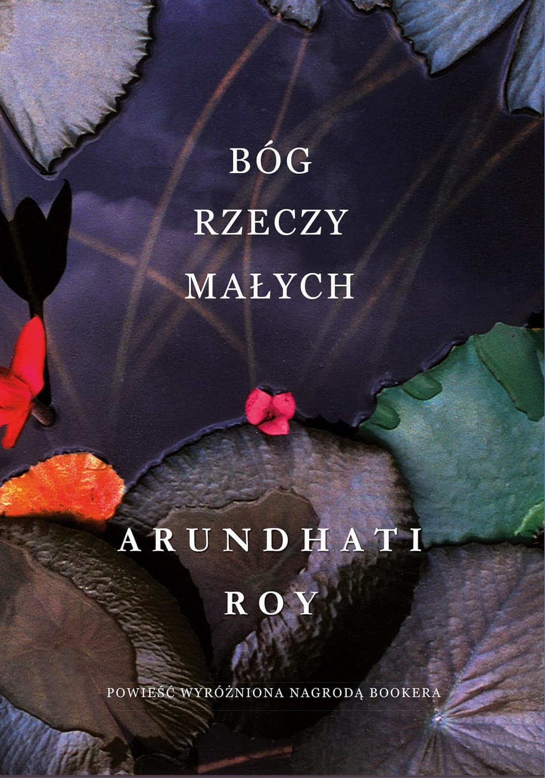 Couverture de Bóg rzeczy małych
