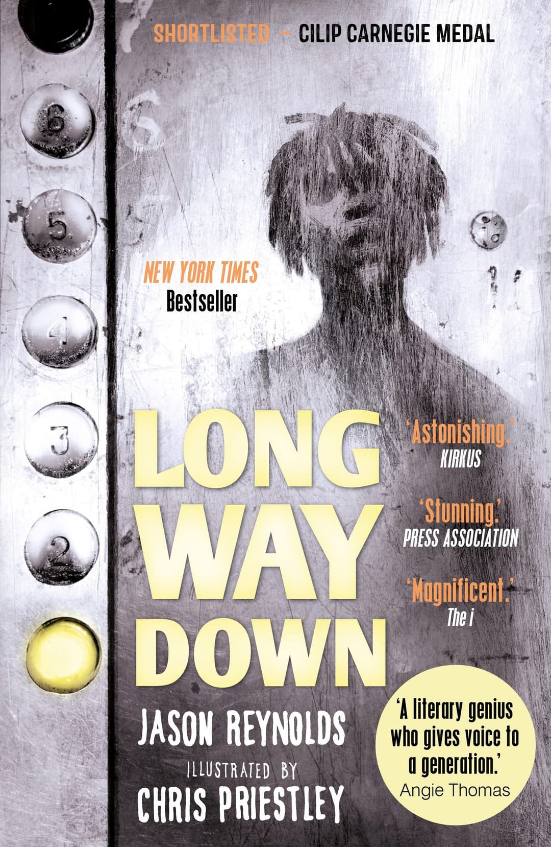 Couverture de Long way down